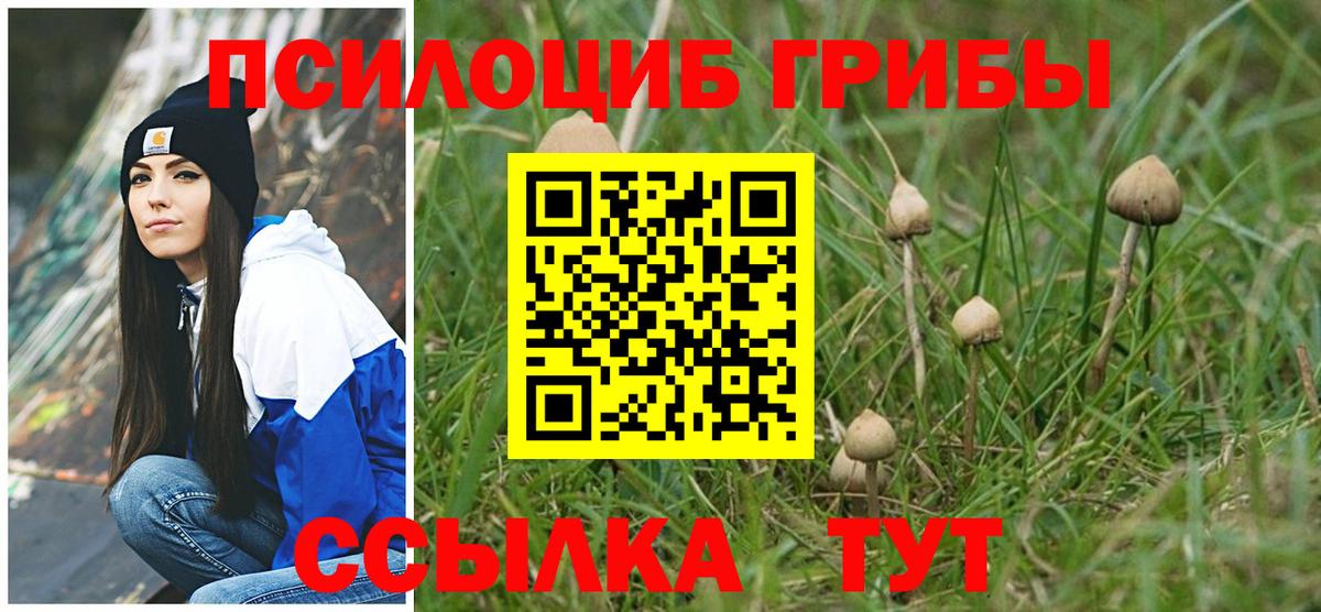 Псилоцибиновые грибы MAGIC MUSHROOMS  Вход с VPN  Астрахань 